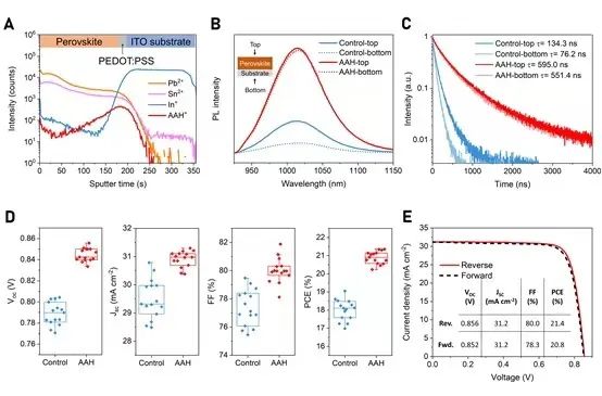 南大2024年首篇Science，谭海仁团队再次刷新世界纪录！