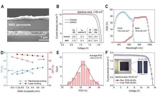 南大2024年首篇Science，谭海仁团队再次刷新世界纪录！