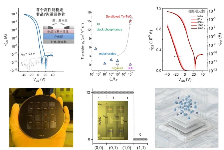 第一单位！科技大学，发Nature！