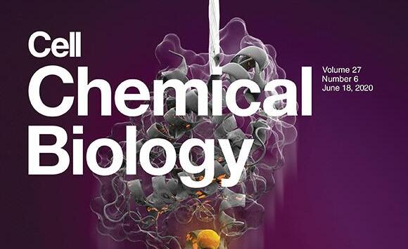 Chem期刊全称和官网