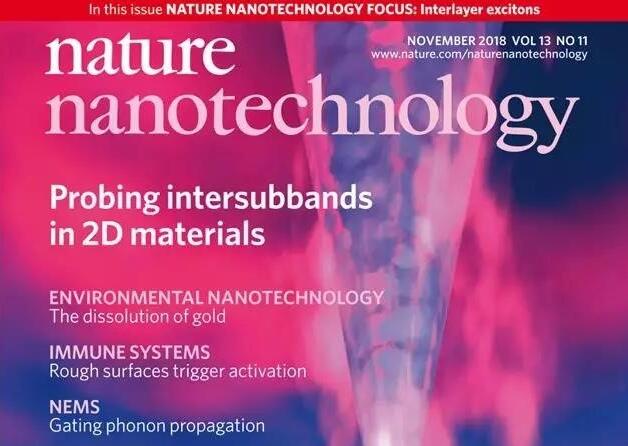 nanotechnology期刊多久送审