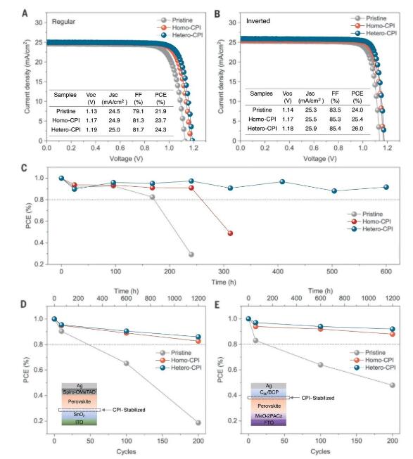 基于原始SnO2、同质CPI和异质CPI的PSC的器件性能和稳定性