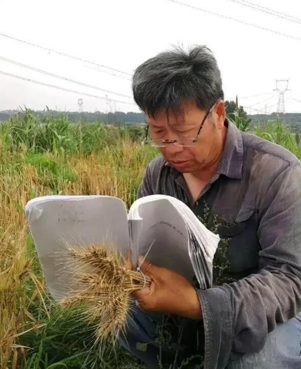 教授在客厅筛麦种走红，妻子：都是偷拍的，丈夫要求删除视频