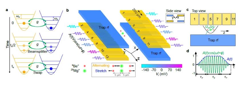 清华大学-离子量子计算 | Nature Physics