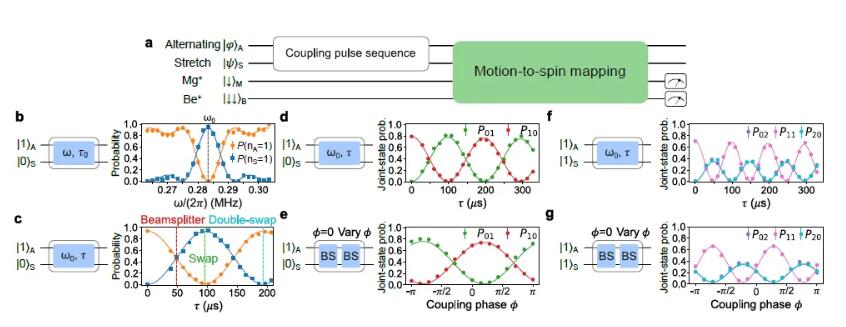 清华大学-离子量子计算 | Nature Physics