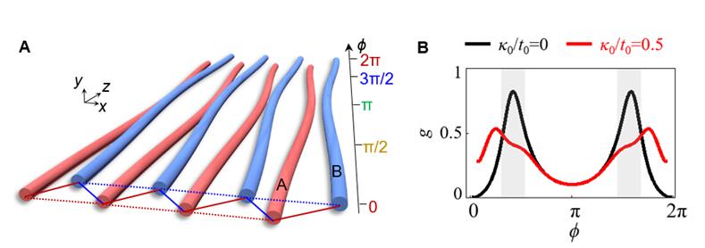 南大与港大联合团队Science Advances：光子芯片中量子度规调控实现快速拓扑泵浦