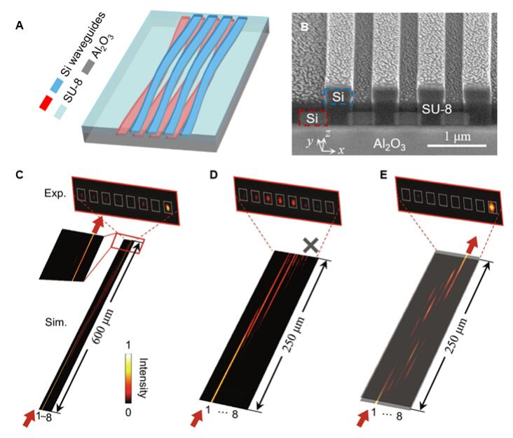 南大与港大联合团队Science Advances：光子芯片中量子度规调控实现快速拓扑泵浦