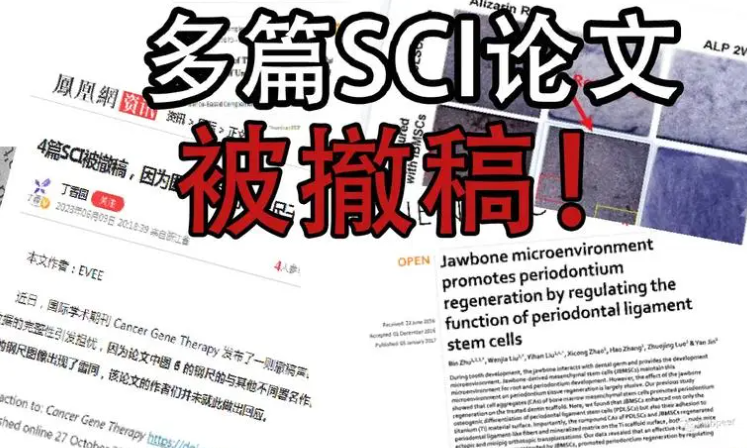 sci撤稿有什么影响