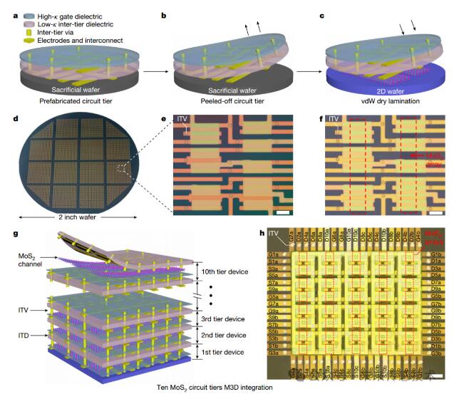 湖南大学刘渊教授课题组，最新Nature，在集成电路新突破