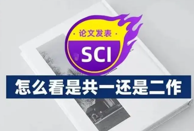 sci共同一作有用吗？会被认可吗