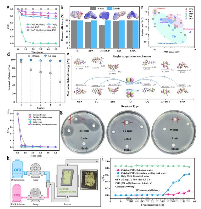 高被引科学家，发表校史首篇Nature子刊！硕士生一作