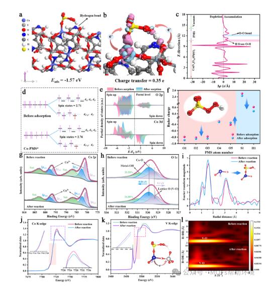 高被引科学家，发表校史首篇Nature子刊！硕士生一作