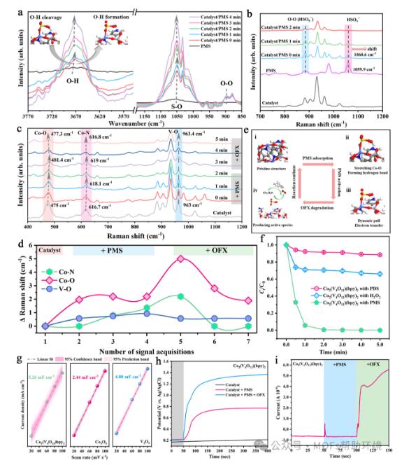 高被引科学家，发表校史首篇Nature子刊！硕士生一作