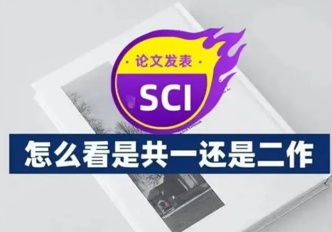 sci共一作者如何表示