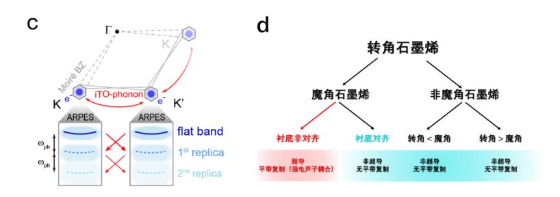 第一单位！上海科技大学，发Nature！