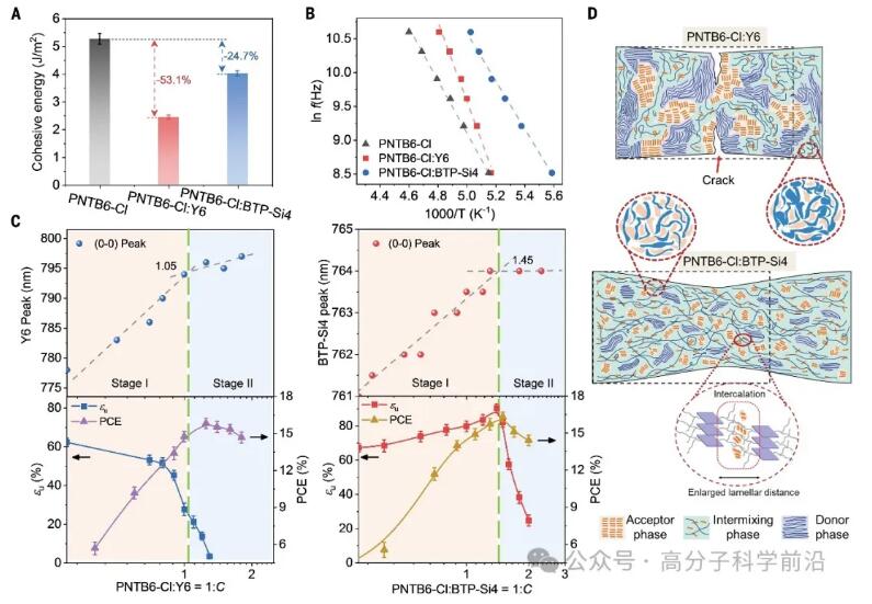 华中科技大学，最新Science！