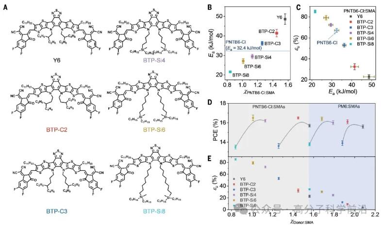 华中科技大学，最新Science！