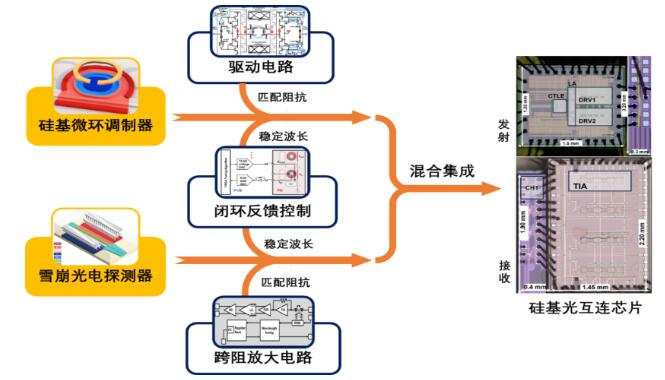 西安光机所在光子集成芯片领域取得系列进展