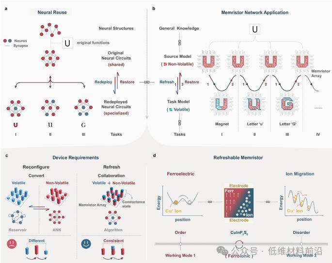 Nature Communications | 电子科技大学刘富才教授团队，基于铁电-离子相的新型存储器最新设计制备！