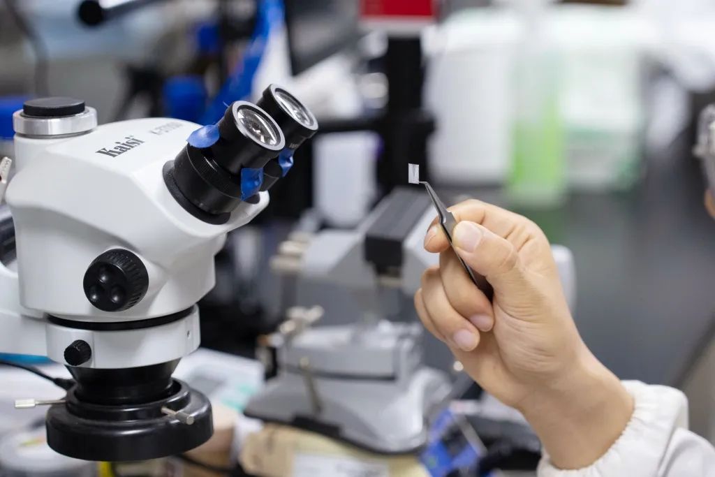 Science重磅:全球首例!复旦科学家团队通过脑机接口,使失明动物恢复视觉能力