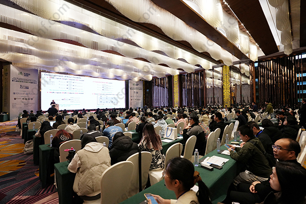 SCI论文投稿全攻略:从资格条件到发表流程的深度解析