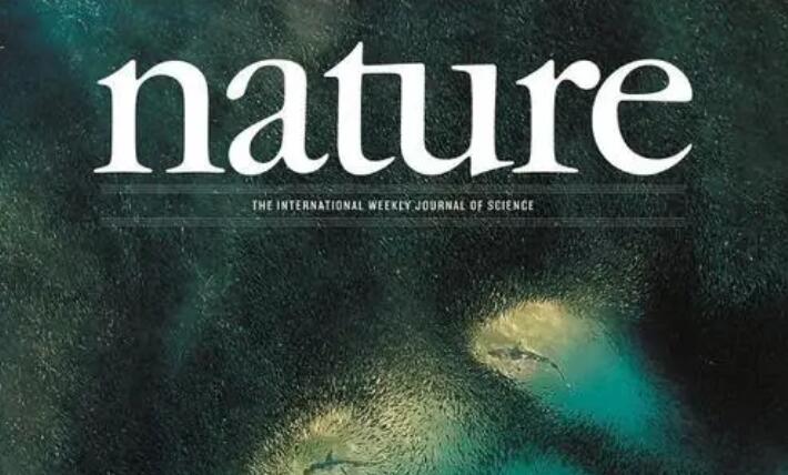 nature期刊影响因子多少怎么查