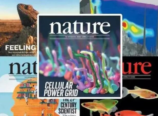 nature index期刊列表目录 2023