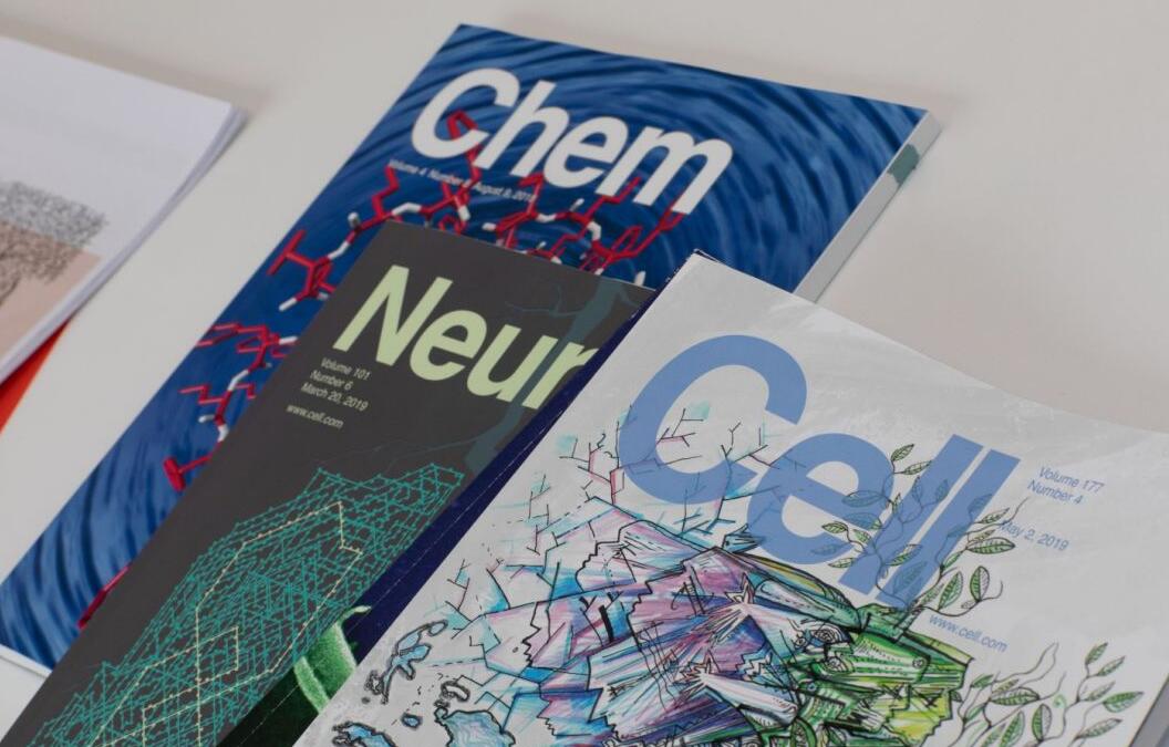 chem期刊审稿周期是多久