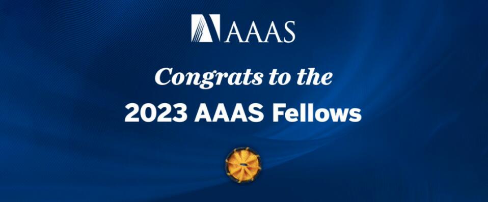 2023年AAAS Fellow名单出炉！信息计算领域：浙大教授、中科大校友当选