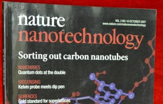 nanotechnology期刊第一审稿人