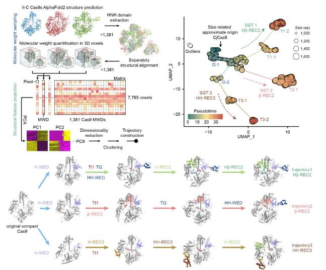 清华大学连发5篇Nature+封面