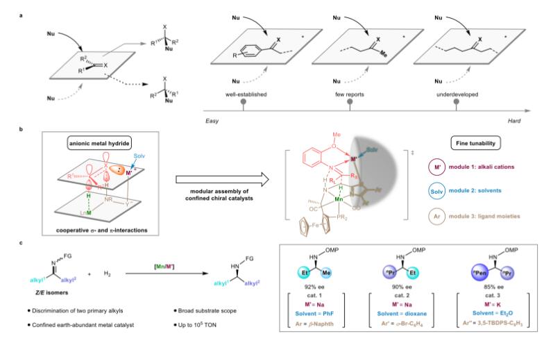 清华大学连发5篇Nature+封面