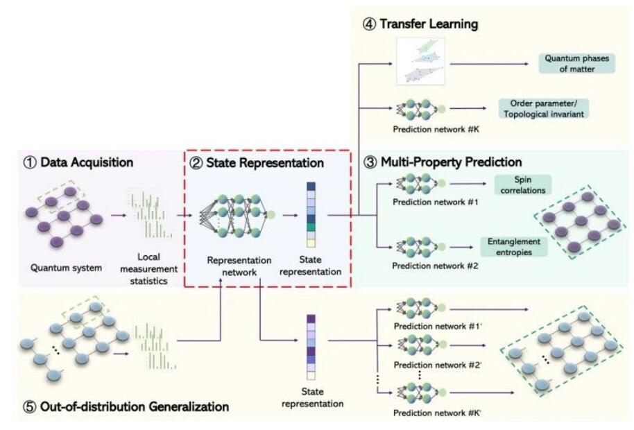 Nature Communications发表上海交大吴亚东副教授最新成果：利用多任务神经网络从短程关联中学习量子性质