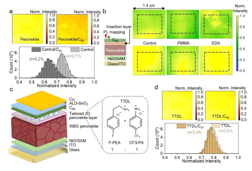 直博生一作，南京大学合作最新Nature，刷新世界记录！