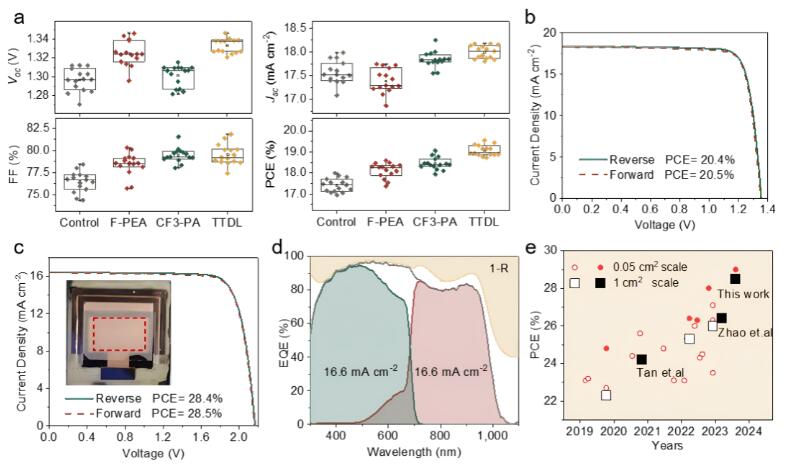 直博生一作，南京大学合作最新Nature，刷新世界记录！