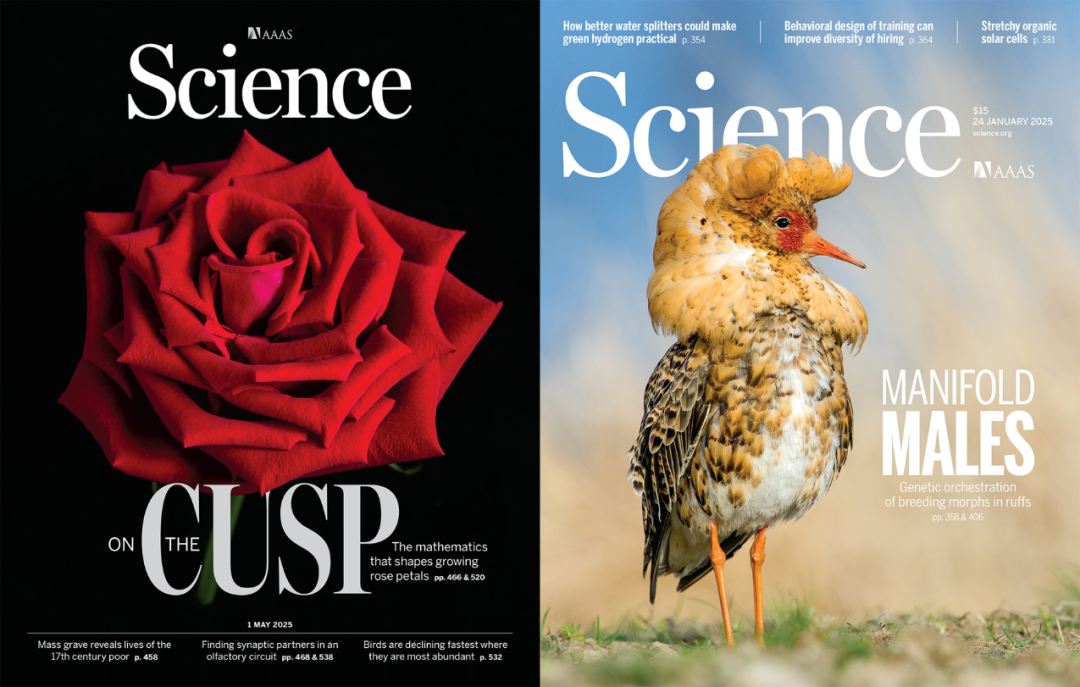 Science期刊,11年来首次改版