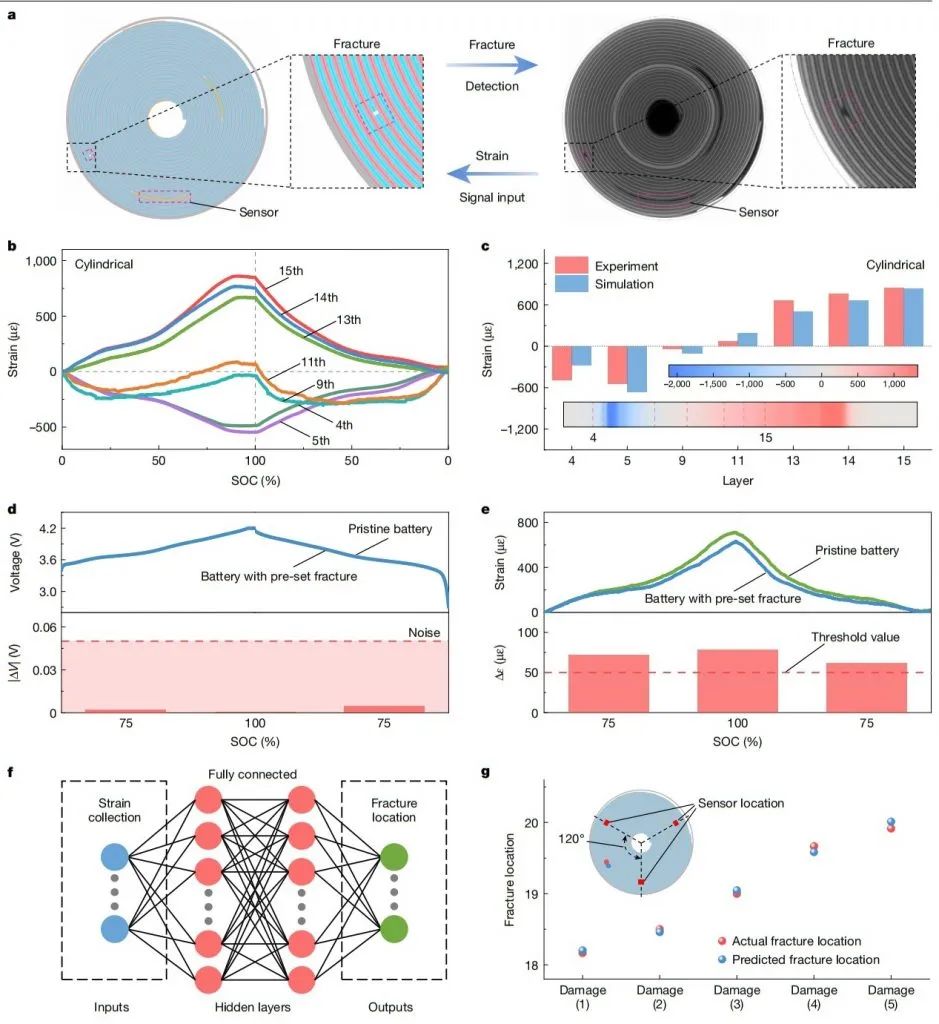 北京理工大学最新Nature!