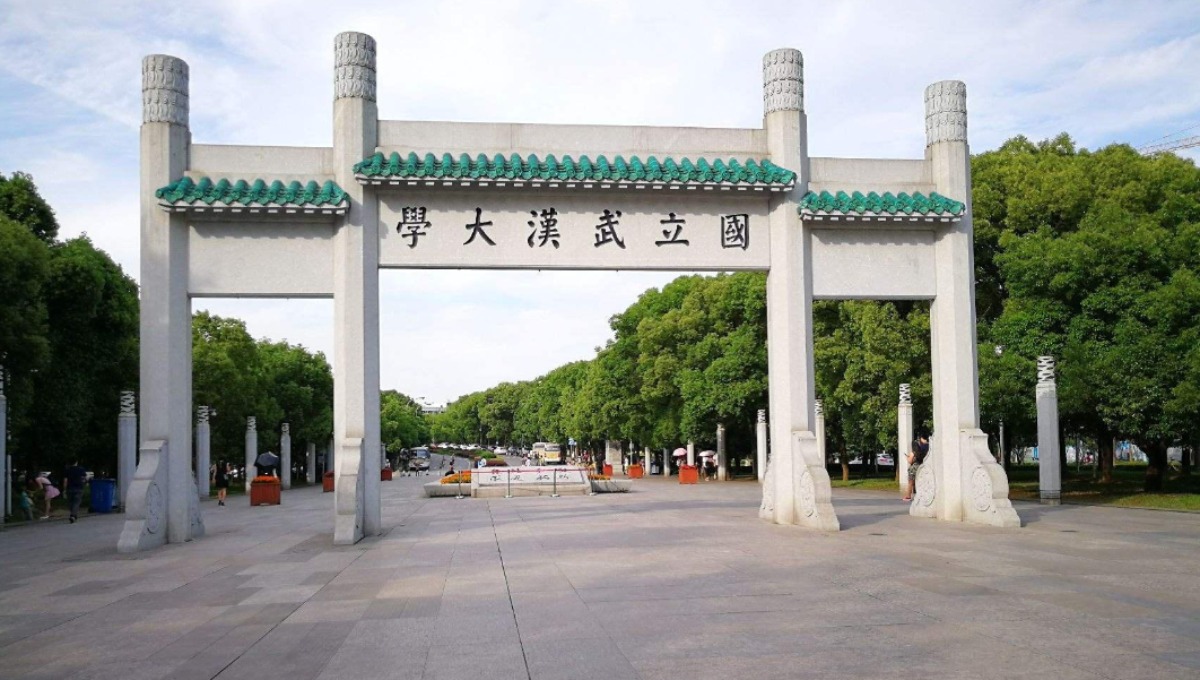中央纪委国家监委官员，履新武汉大学！